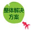 整體解決方案.png